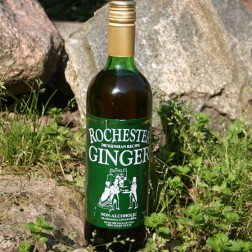 Rochester Ginger. Grøn 