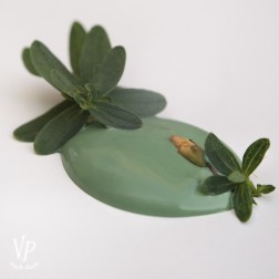 Vintage Paint. Graceful Green
